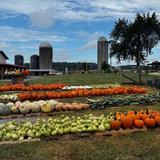 Mayfield Farm Park