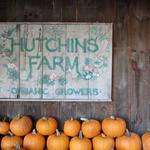 Hutchins Farm