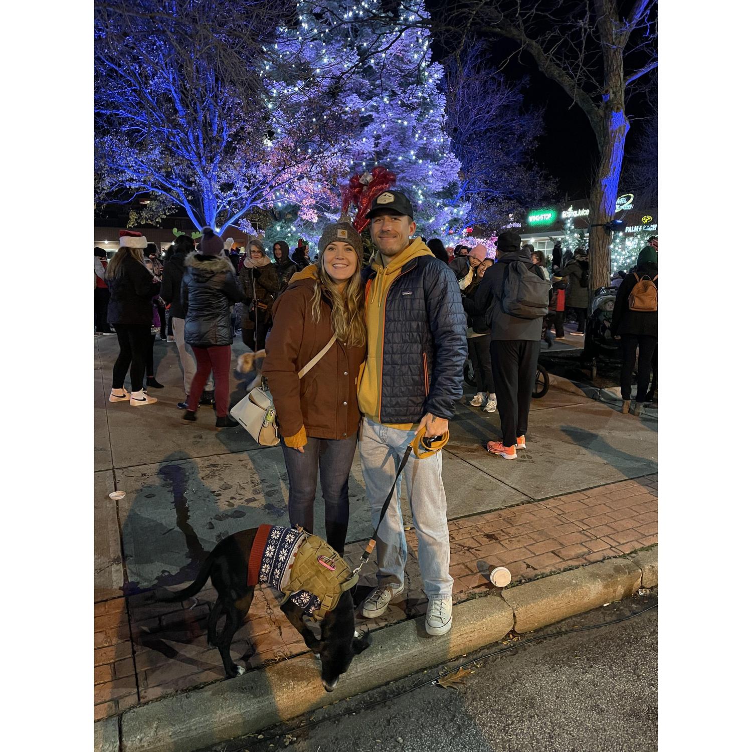 Light Up Lakewood to see some Christmas lights 2021