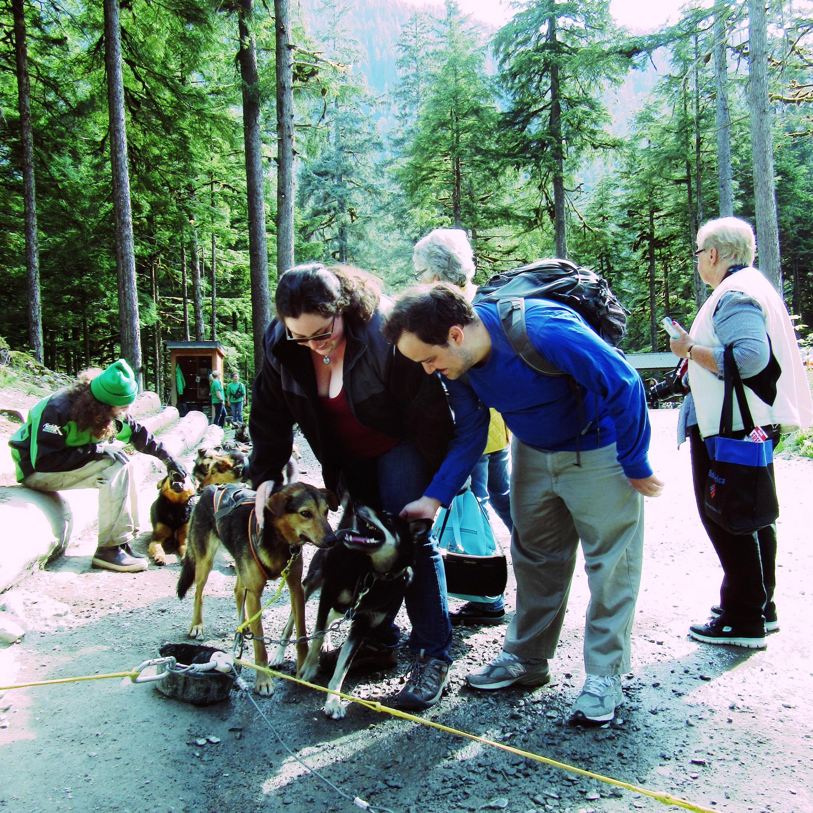 Dog sledding tour Alaska Summer 2017