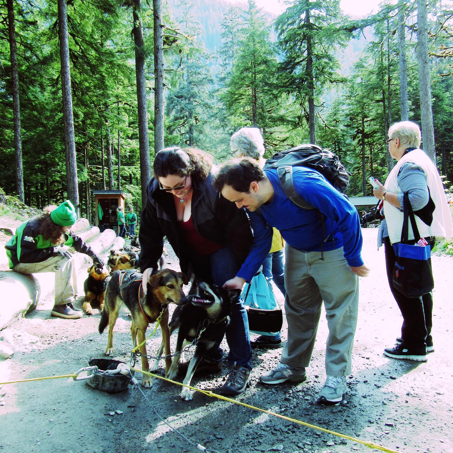 Dog sledding tour Alaska Summer 2017