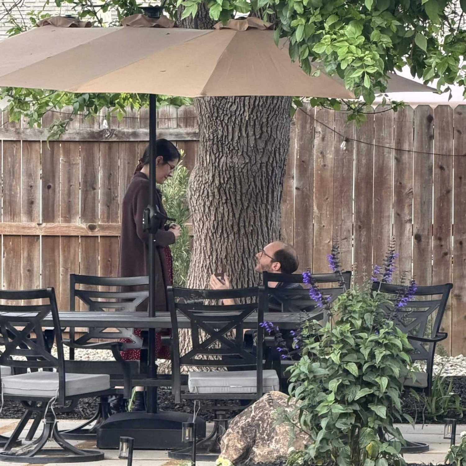 The proposal