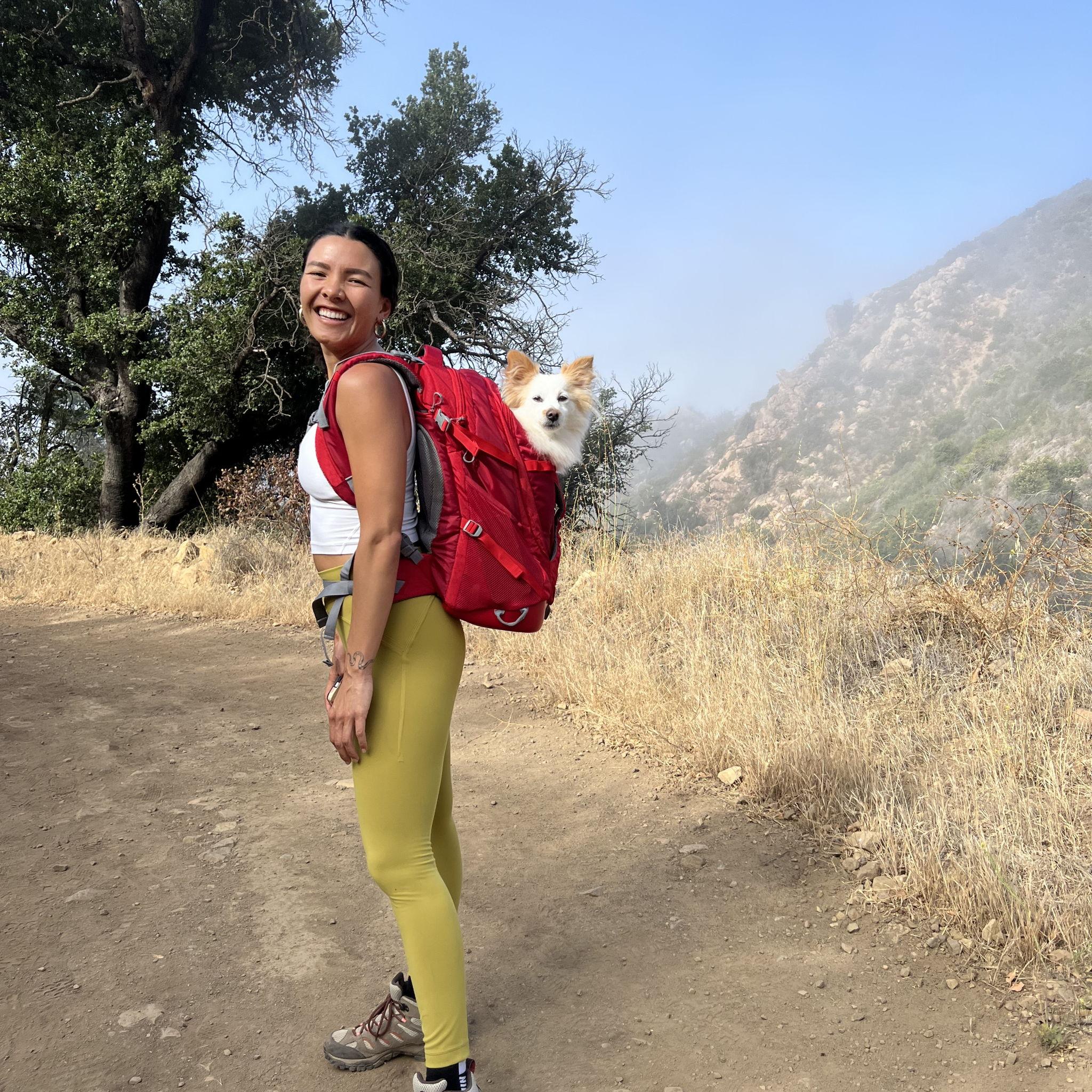 Santa Barbara hike with the pups for my 27th bday. Ive never laughed so hard at how preciously cute the pups looked stuffed in these backpacks