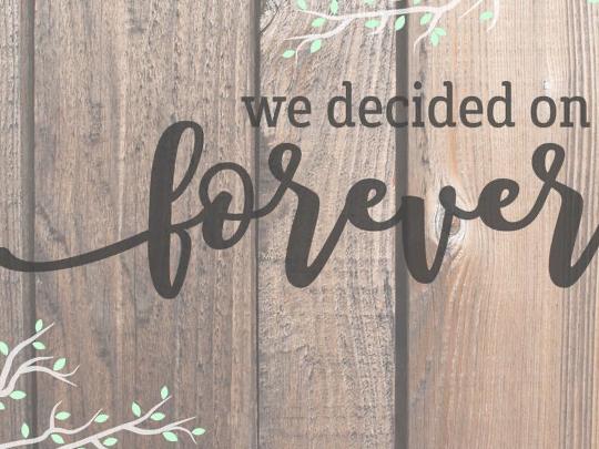 The Wedding Website of Daniel Santiago and Erica Gutierrez