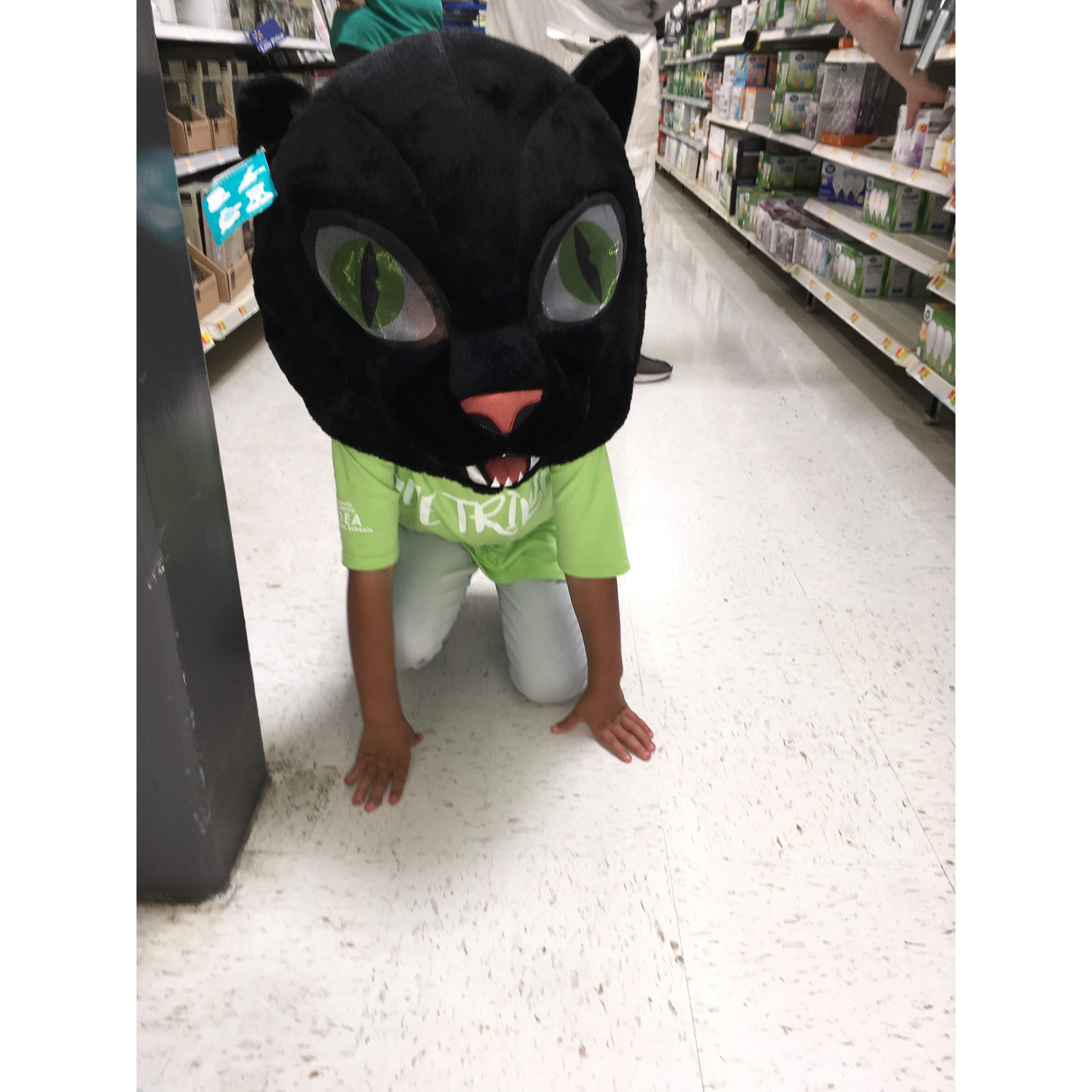Wildcat spotting at Walmart (San Antonio, Oct. 2018)