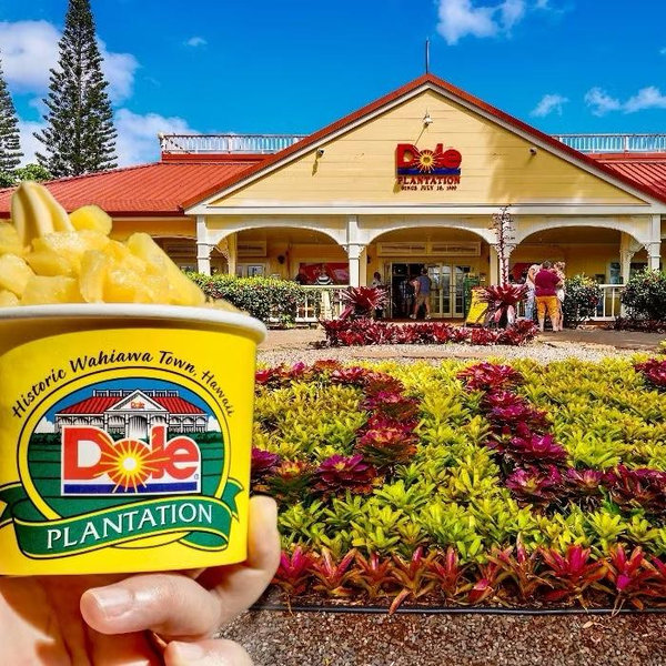 Dole Plantation Tour
