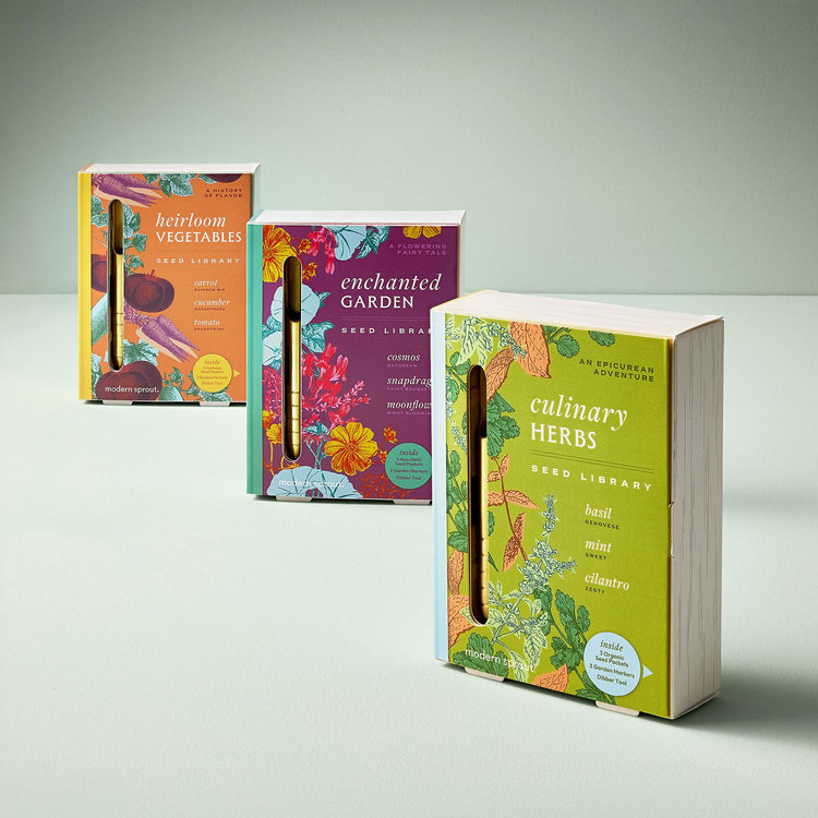 Modern Sprout, Seed Flavor Kit | Zola