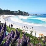 Carmel Beach