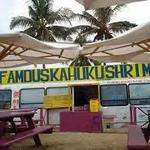 Famous Kahuku Shrimp Truck
