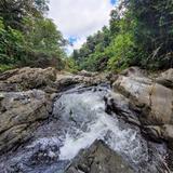 El Yunque National Forest