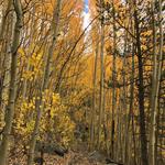 Denny Creek Trailhead