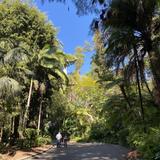 San Diego Zoo
