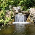 Sarah P. Duke Gardens