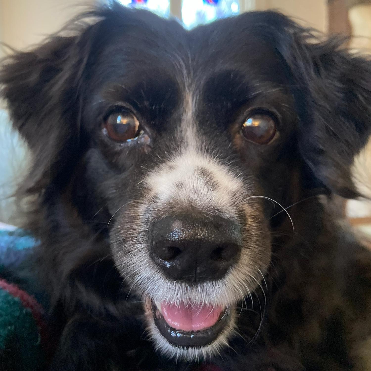 Evie, sweet baby angel, showing off her smile!