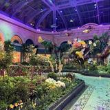 Bellagio Conservatory & Botanical Gardens