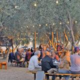 Queen Creek Olive Mill