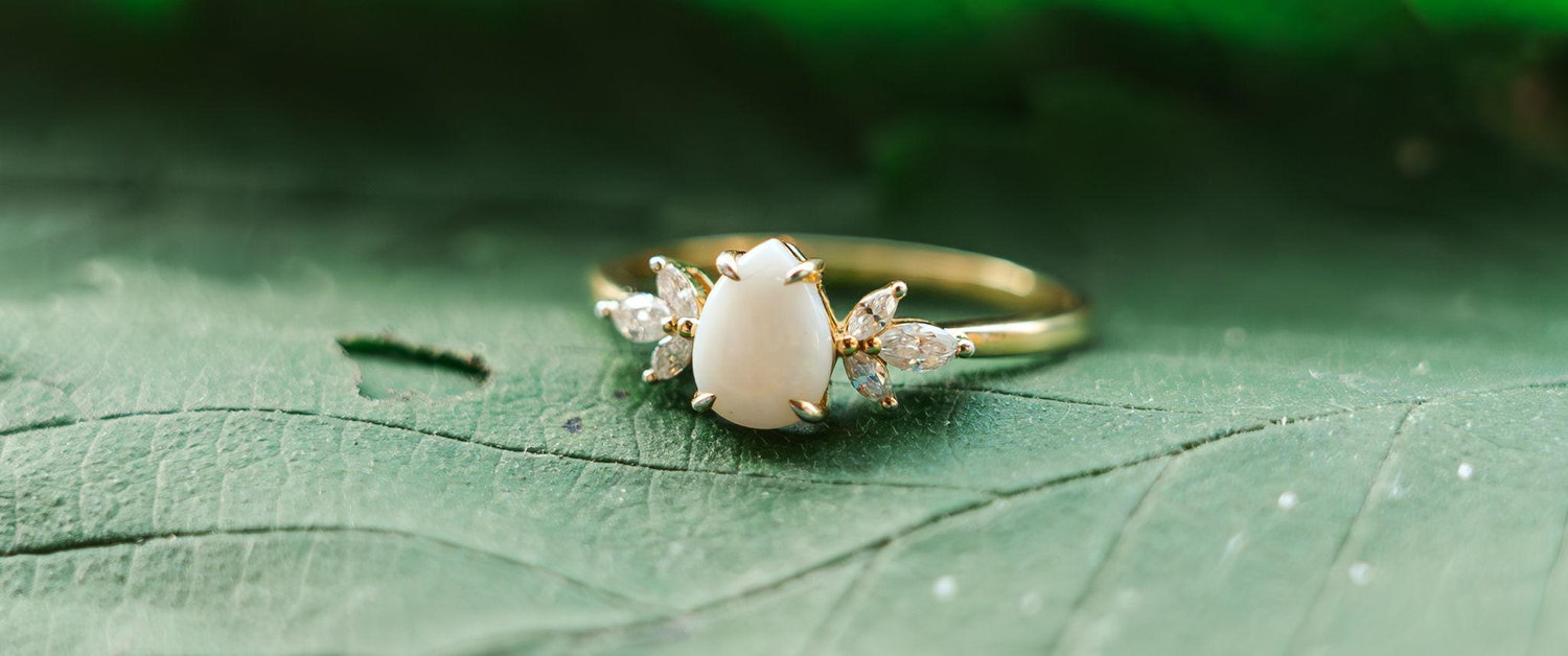 The Wedding Website of Bethany Schneekloth and Grant Klas