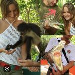 Croco Cun Zoo