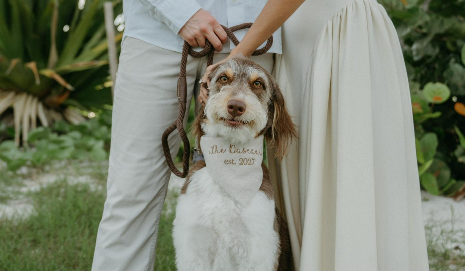 The Wedding Website of Alexis Solis and Adam Dascani