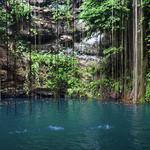 Visit a cenote