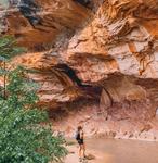 West Fork Trail