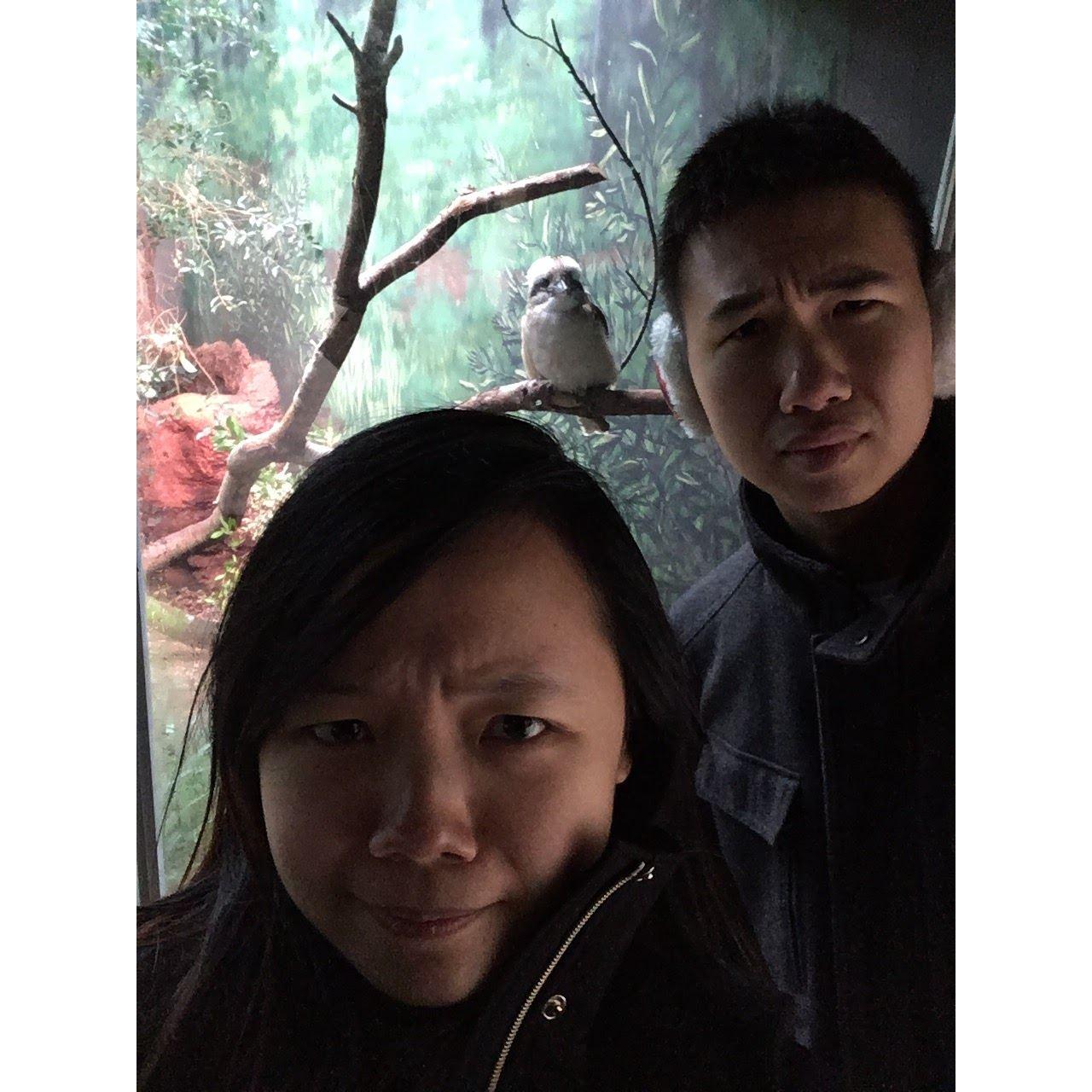 Making friends with a grumpy looking bird at Woodland Park Zoo