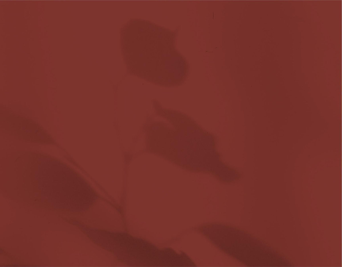 Lummin Landscape | Currant Red | Zola Save The Dates