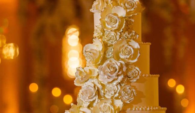The Wedding Website of Michelle’ Avila and Juan Avila