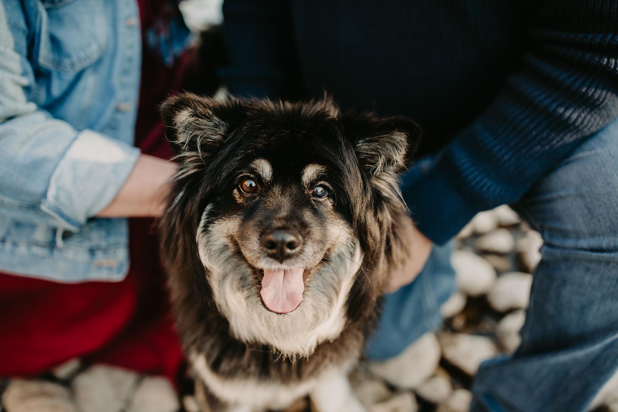 The Wedding Website of Zach Barnes and Megan Kee