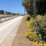 Coastal Rail Trail