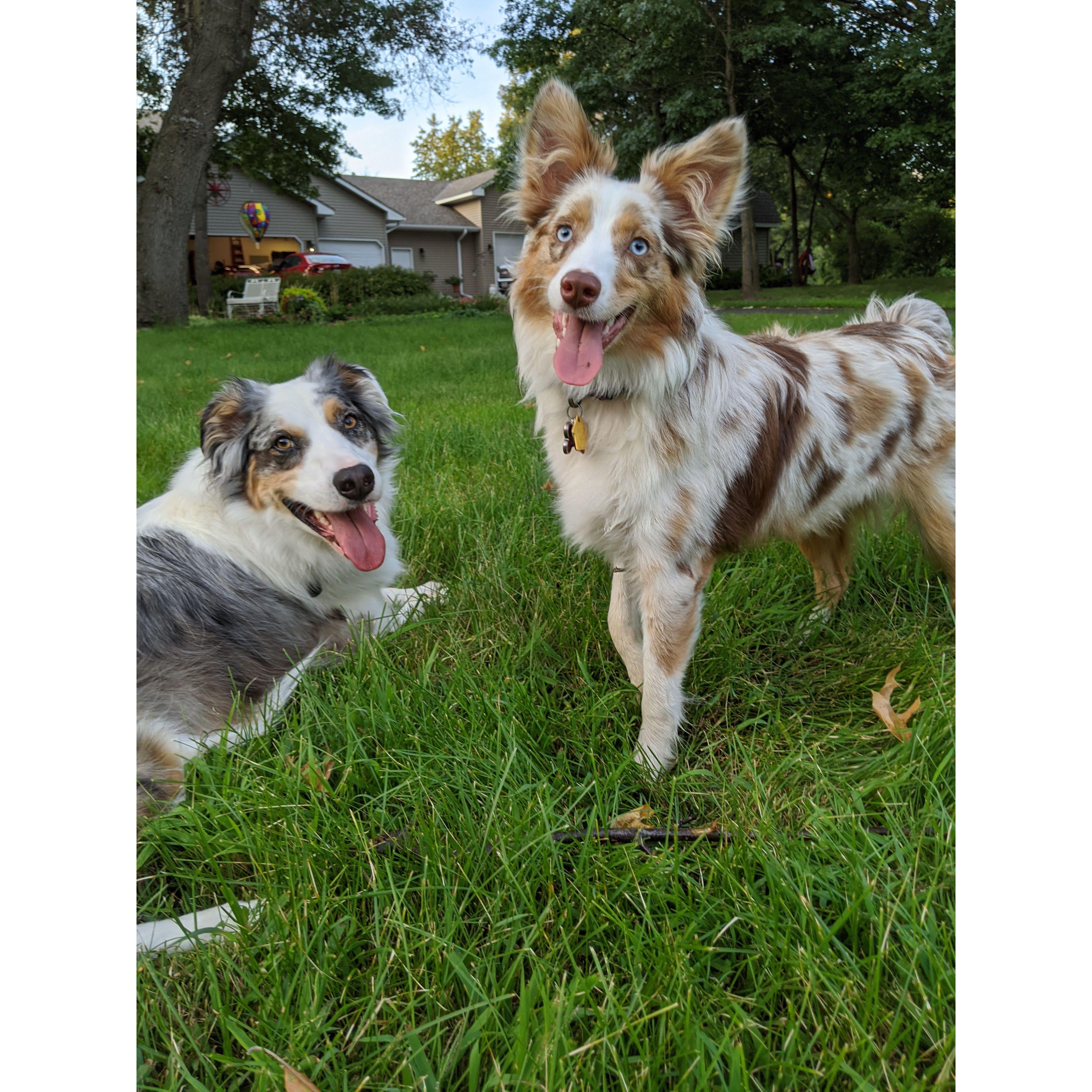 The kids, Ziggy and Zoey!