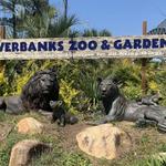 Riverbanks Zoo & Garden