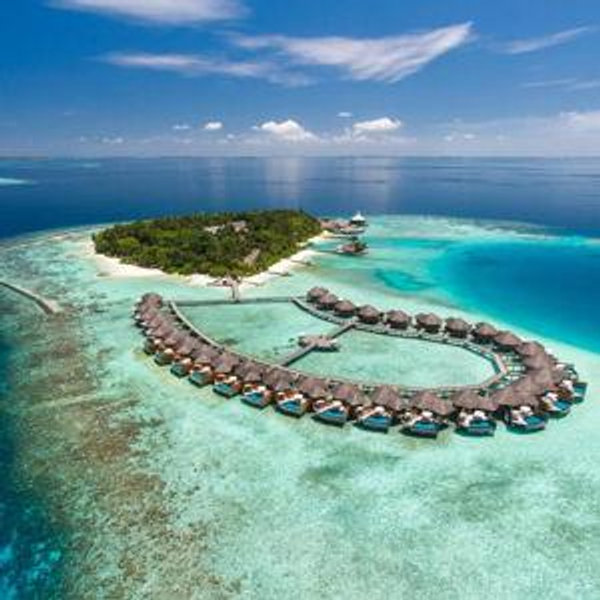 Our honeymoon fund