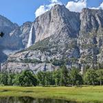 Yosemite National Park