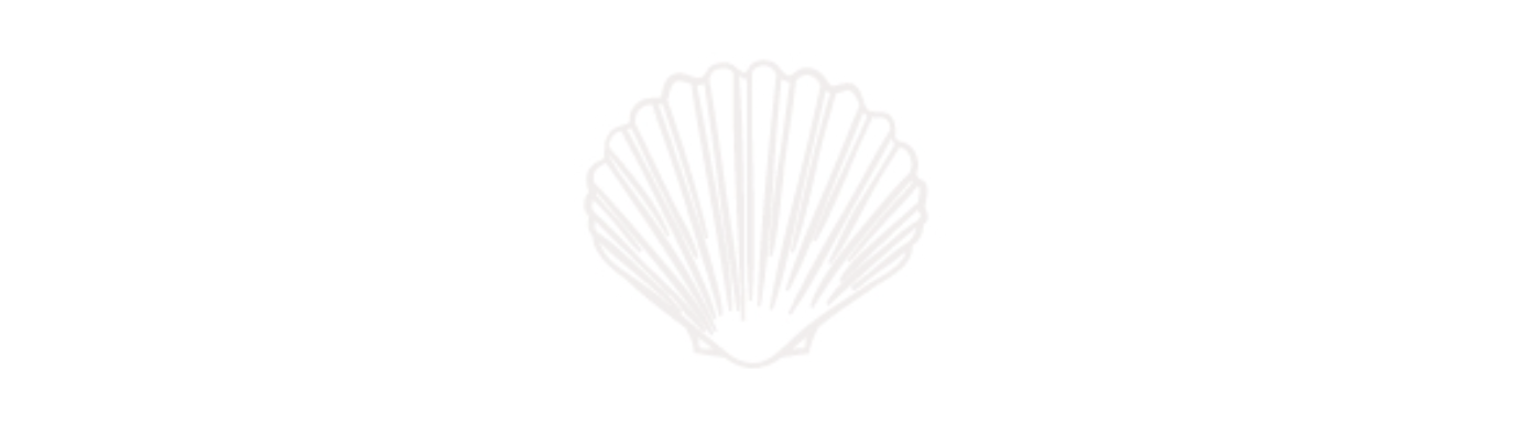 The Wedding Website of Antonia Freska and Jack Alston