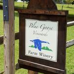 Blue Goose Vineyards