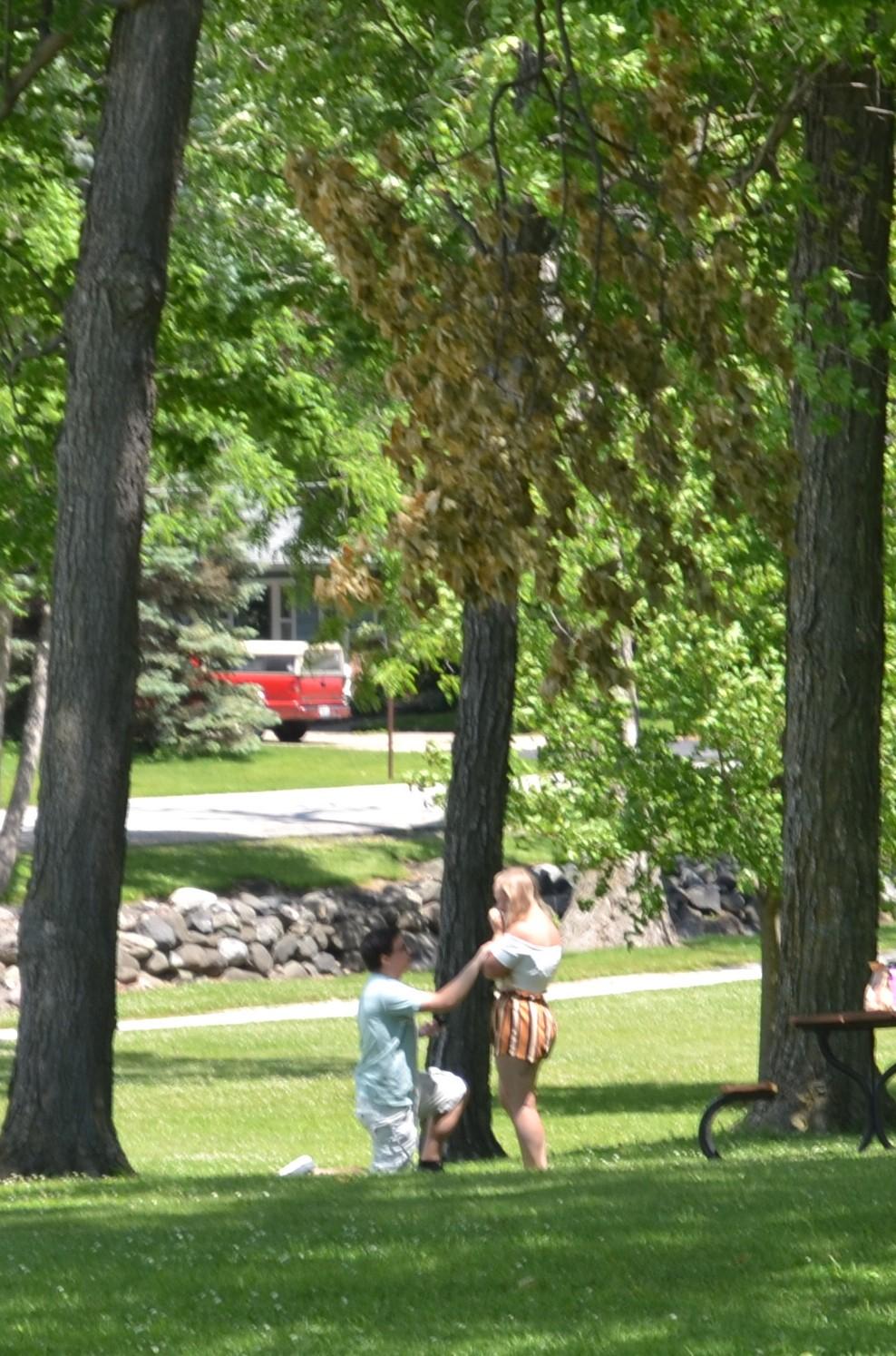 7dd7b43f-0e0f-47d2-92e3-e934720e2d98