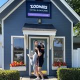Zoomies