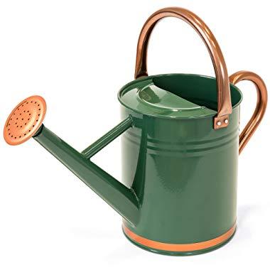 Best Choice Products 1-Gallon Lightweight Galvanized Steel Watering Can for Gardening w/O-Ring, Top Handle, Copper Accents