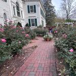 The Frelinghuysen Arboretum