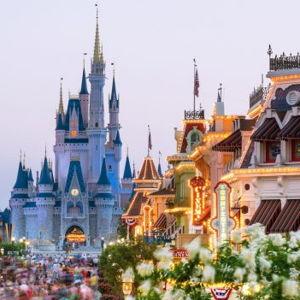 Walt Disney World Admission