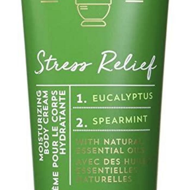 Bath and Body Works Aromatherapy Stress Relief Eucalyptus & Spearmint Body Cream. 8 Oz.
