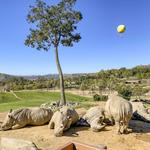San Diego Zoo