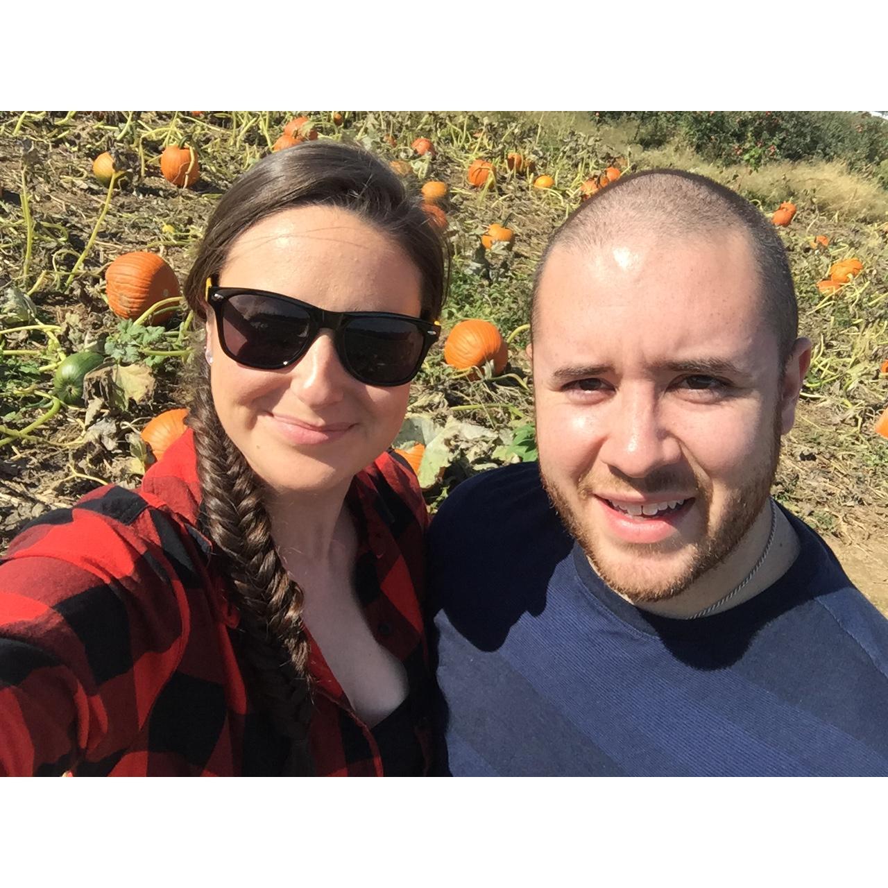 Picking out the perfect pumpkin!
