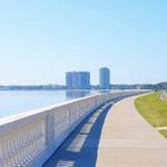 Bayshore Boulevard
