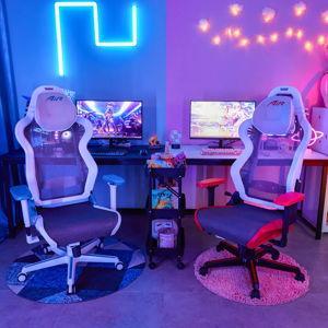 Gaming Room Fund