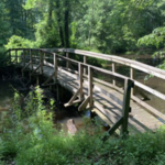 Great Swamp National Wildlife Refuge