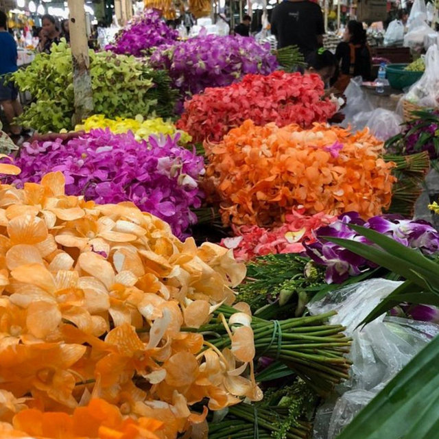 Chatuchak Flower Market