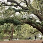 Audubon Park