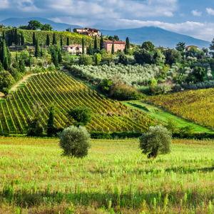 Dinner For Two - Tuscany